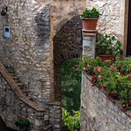 Il Tripode - Le Dimore Del Bordone Vallo di Nera Exterior foto